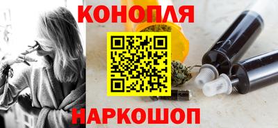 прущие грибы Лесосибирск