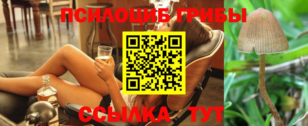 Галлюциногенные грибы мухоморы Гуково