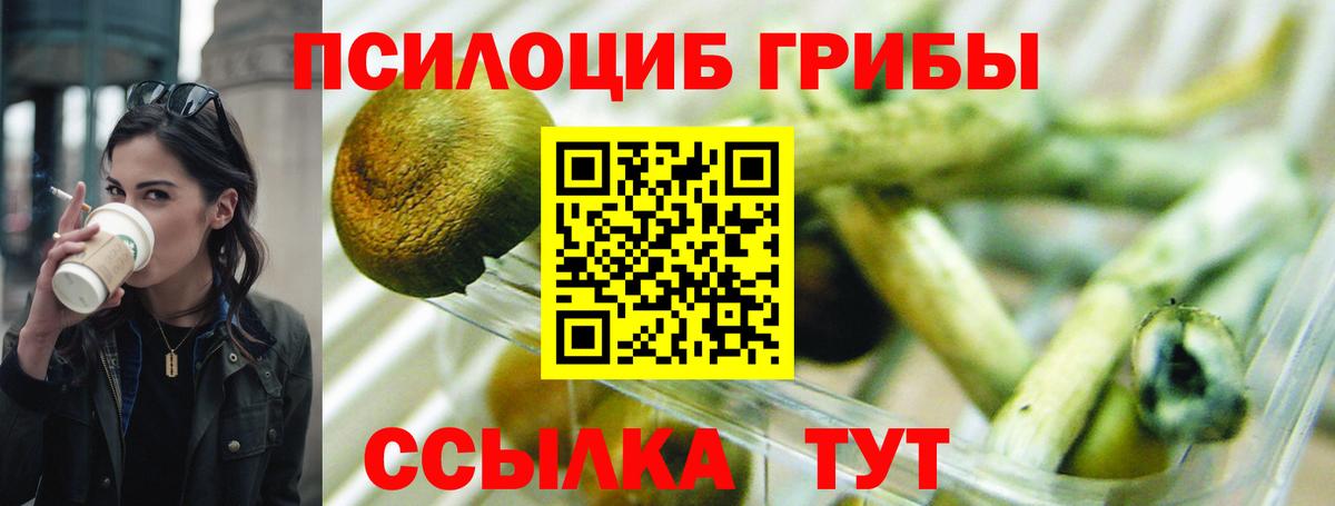 Псилоцибиновые грибы ЛСД  Вход с VPN  Гуково  Галлюциногенные грибы Psilocybine cubensis 